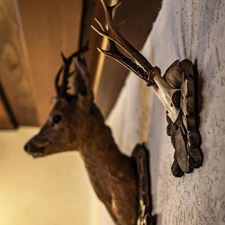 Scherer Bed & Breakfast Muhlbach Am Hochkonig