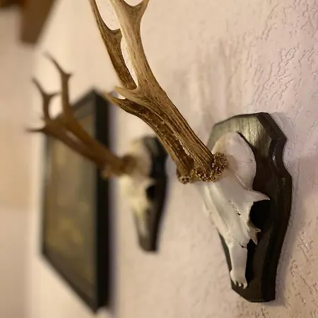 Scherer Alojamento de Acomodação e Pequeno-almoço