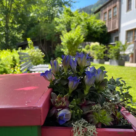 Scherer Отель типа 