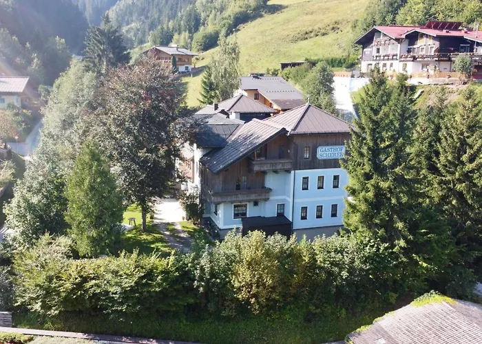 Scherer 3*