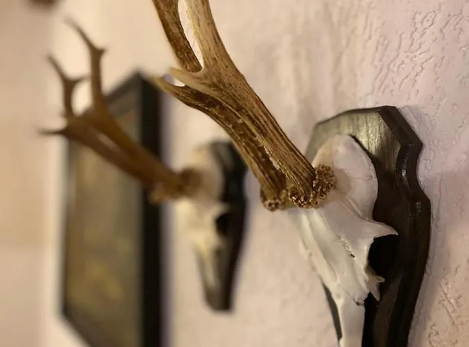 Scherer Bed & Breakfast