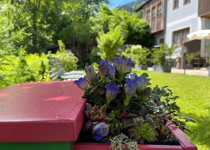 Scherer Nocleg ze śniadaniem